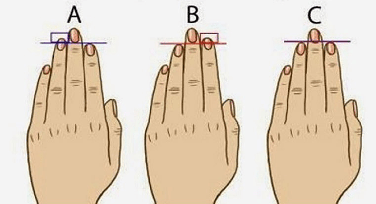 ЗНАЕТЕ ЛИ, че дължината на пръстите може да разкрие много неща за вашата личност