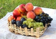 България е първа в ЕС по ръст на биопроизводителите