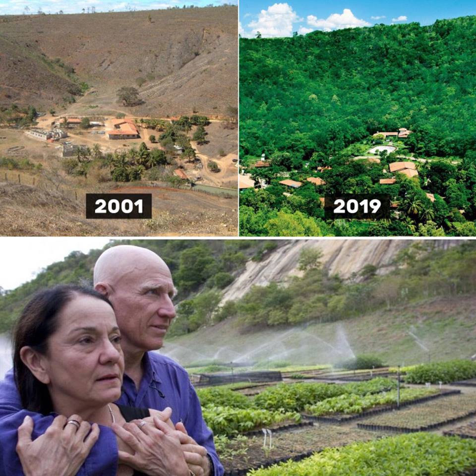 Това са хора! Фотограф и неговата съпруга засяват 2 милиона дървета за 20 години за да спасят гора