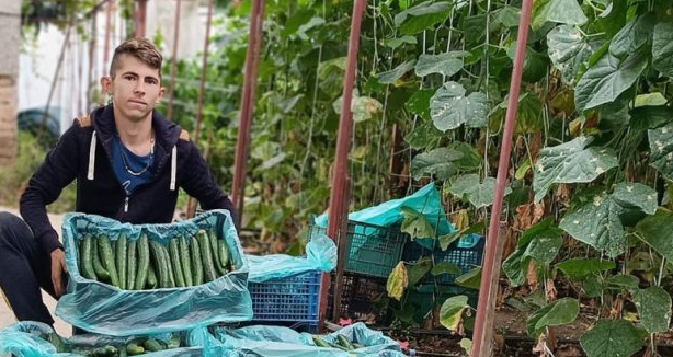 23-годишен фермер: Останах си на село, отглеждането на зеленчуци е моята страст и любов